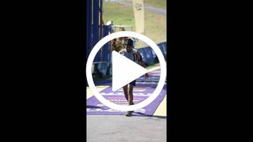 BIB:  <button type="button" onclick="openModal(27270469)" class="btn btn-primary btn-sm float-right" data-toggle="modal" data-target=".modal-high-quality">
                <i class="fa fa-download"></i> Download
                </button>